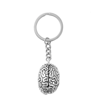 DoreenBeads 3D Keychain & paketų prižiūrėtojų raktinę Raktų pakabukai Anatominių Žmogaus Cerebrum Smegenų Sidabro Spalvos 8.7 cm(3 3/8
